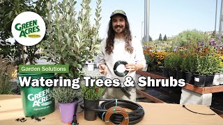 How to Water Trees and Shrubs with Drip Irrigation [upl. by Lemon]