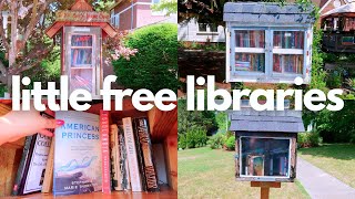 LITTLE FREE LIBRARY VLOG  Hauling  Unhauling books via Little Free Libraries [upl. by Yks696]