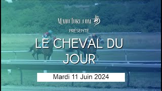 Le Cheval du Jour  PRONOSTIC PMU  Mardi 11062024 [upl. by Aile]