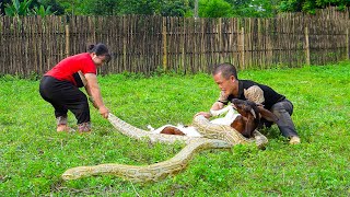 Dwarf Family Rescues Goat Attacked By Giant Python amp Catches Loach  Mountain VN Gives Ducks [upl. by Beatrice]