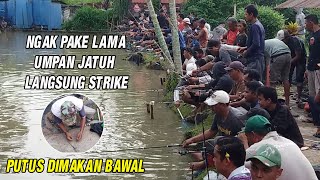 PESTA STRIKE IKAN BAWAL BENANG BANYAK YANG PUTUS DIMAKAN IKAN BAWAL [upl. by Alberto239]