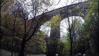 NRWS Plessey Viaduct [upl. by Naes835]