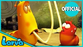 LARVA Funny Animation  LARVA AND THE SPAGHETTI  Cartoons  Comics  LARVA Official [upl. by Hpesojnhoj]