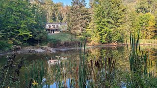 Baignade dans les Laurentides ♥️♥️♥️ [upl. by Malamud857]