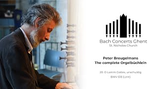 BWV 618  O Lamm Gottes unschuldig  Peter Breugelmans [upl. by Edmondo207]