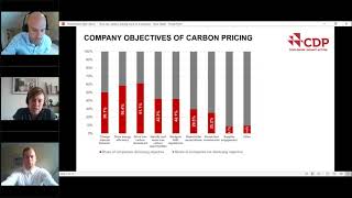 How can carbon pricing work in a business [upl. by Kiyoshi]