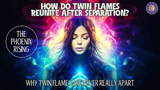 How the Universe Conspires for Twin Flame Reunion After Separation [upl. by Bowles]