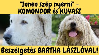 Magyar Pásztorkutyák  Kuvasz és Komondor  Bartha László véleménye DogCast TV [upl. by Dayna427]