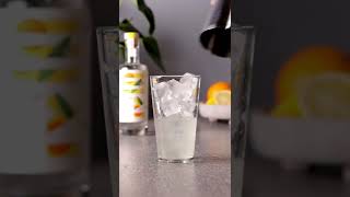 Tom Collins  Gin Cocktails by Steve the Bartender [upl. by Zellner41]