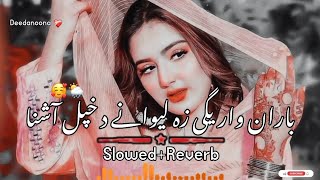 Baran Waregi Za Lewany Da Khpal Ashna Deedan La Zma 🥰  SlowedReverb  Pashto New Song  Deedanoona [upl. by Attenaej]