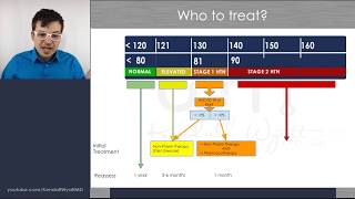 New Hypertension Guidelines 2017  Part 1 Guidelines Overview [upl. by Leiuqeze]