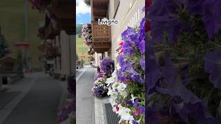 Livigno für deinen nächsten Wochenendausflug italia italy travel traveling italien италия [upl. by Essex594]