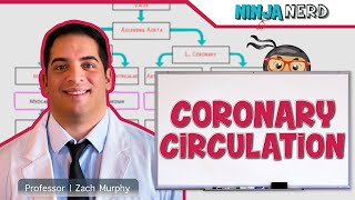 Circulatory System  Coronary Circulation [upl. by Kalasky116]