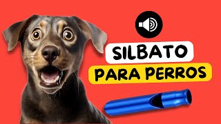 😲 Silbato Para Perros 🐶🔊  SONIDOS PARA PERROS [upl. by Harutak]