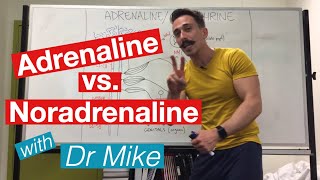 Adrenaline versus Noradrenaline  epinephrine versus Norepinephrine [upl. by Acireit736]