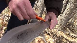 Most Amazing Knife Video cut down tree and stays Sharp [upl. by Annig]