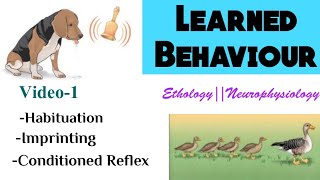 1Learning and MemoryLearned BehaviourTypes of learningHabituationImprintingConditioned Reflex [upl. by Ainnos]