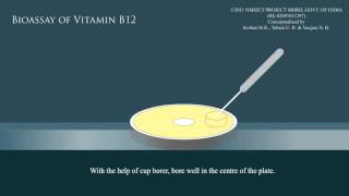 Bioassay of vitamin B12 [upl. by Adnuhsed]