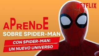 Aprende sobre SPIDERMAN  Netflix España [upl. by Painter]