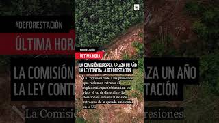 Comisión Europea aplaza un año la Ley de Deforestación [upl. by Quickel947]