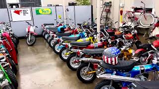 “The Indianapolis Minibike Collection” iconic ￼Honda CT70’s and Z50s for sale 317 7279927 [upl. by Eckmann157]