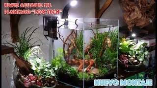 Nano acuario 🐟🦐 19l plantado ☘️ quotLow techquot  Montaje completo [upl. by Itsirc]