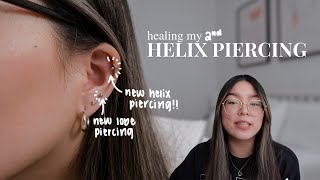 helix piercing aftercare  how i healed my helix piercing [upl. by Xenos995]