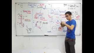 TTC MATHS Liang JForm 3 amp 4 Circles ll Best Way to Keep it in Mind [upl. by Ahsinan]