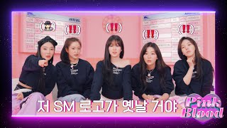 RedVelvet’s Pink Blood Is Running💗｜Pink Blood Quiz Show SMTOWN LIVE 2022 [upl. by Galvin]