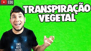 TRANSPIRAÇÃO VEGETAL│Prof Patrick Gomes [upl. by Nerad]