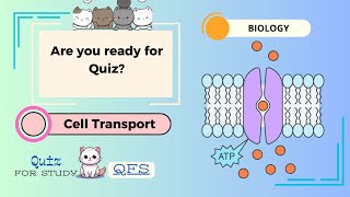 Cell Transport Biology Quiz Active transport diffusion osmosis ICGSE High SchoolCollege [upl. by Perrins646]