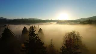 Schwantenau Einsiedeln Nebel Sonnenuntergang  4k Drone Switzerland  Drohne Schweiz [upl. by Harim]