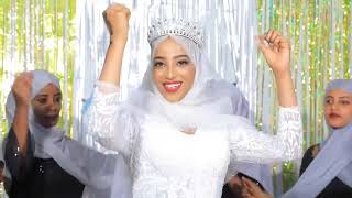 Ethiopia best wedding 2022 by Sudan music official video [upl. by Plerre710]