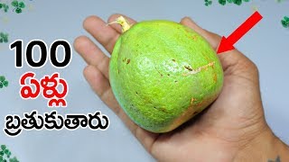 Beal fruit benefits i telugu  Bael Fruit Benefits [upl. by Asoj]