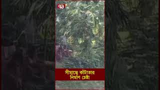 সীমান্তে কাঁটাতার নির্মাণ চেষ্টা [upl. by Aneekas220]