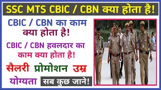 cbic cbn havaldar job profile  cbic cbn havaldar work profile  salary  promotion [upl. by Hendricks]