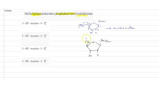 Find the hydrolysis product when a phosphodiester bond of nucleotide breaks [upl. by Amargo]