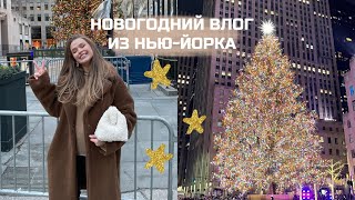 НОВОГОДНИЙ ВЛОГ ИЗ НЬЮЙОРКА 💫 ГУЛЯЕМ ПО ГОРОДУ DARY YORK [upl. by Enrichetta82]