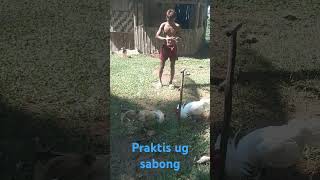 Praktis ug sabong allfollowers highlightseveryone nature highlightfreefire allviewers [upl. by Aanas]