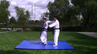 Hapkido Defense Elbow Grab Def 팔목 잡혔을 때 [upl. by Aseret]