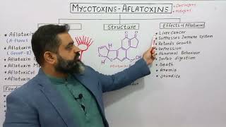 Aflatoxins UrduHindi medium Prof Masood fuzail  Mycotoxins  Types of Aflatoxin [upl. by Ahseeyt115]