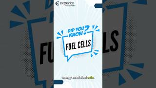 Fuel Cells Pioneering Clean Energy Solutions fuelcells renewableenergy futureenergy innovation [upl. by Theodore]