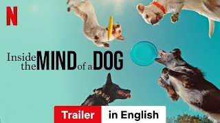 Inside the Mind of a Dog  Trailer in English  Netflix [upl. by Oiram]