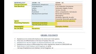 Microbiology  Bacteriology  grampositive and gramnegative bacteria gram  cocci Part 03 [upl. by Gracie93]