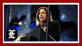 Reactions to Kamala Harris presidential race loss [upl. by Anma883]