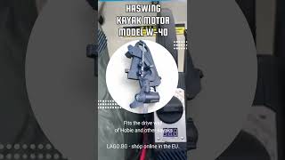 Haswing kayak motor W40 [upl. by Atineg674]