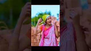 জামাই থইয়া লাঙ দরিলাম Jamai Thoiya LangDorilam Bangla Funny Song [upl. by Ylrebmit667]