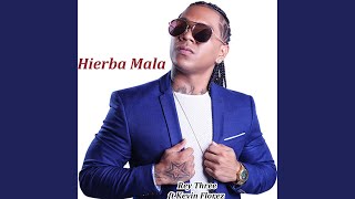 Hierba Mala [upl. by Ogu]