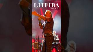 LITFIBA  Regina di cuori live 2022 litfiba live rock shorts [upl. by Mall]