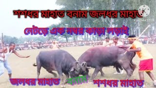 নেকড়ে আসরের এক নম্বর কাড়া লড়াই nekre ashorer ak no kara lorai [upl. by Chemash243]